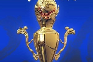 祝贺！汉超联赛城区组赛圆满落幕，东湖高新区队夺冠